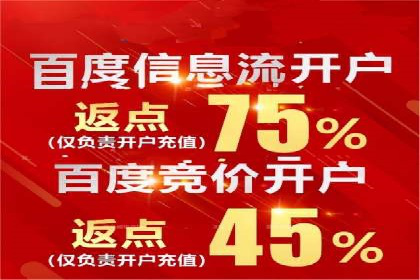 怎样做百度推广：成功案例分析与策略